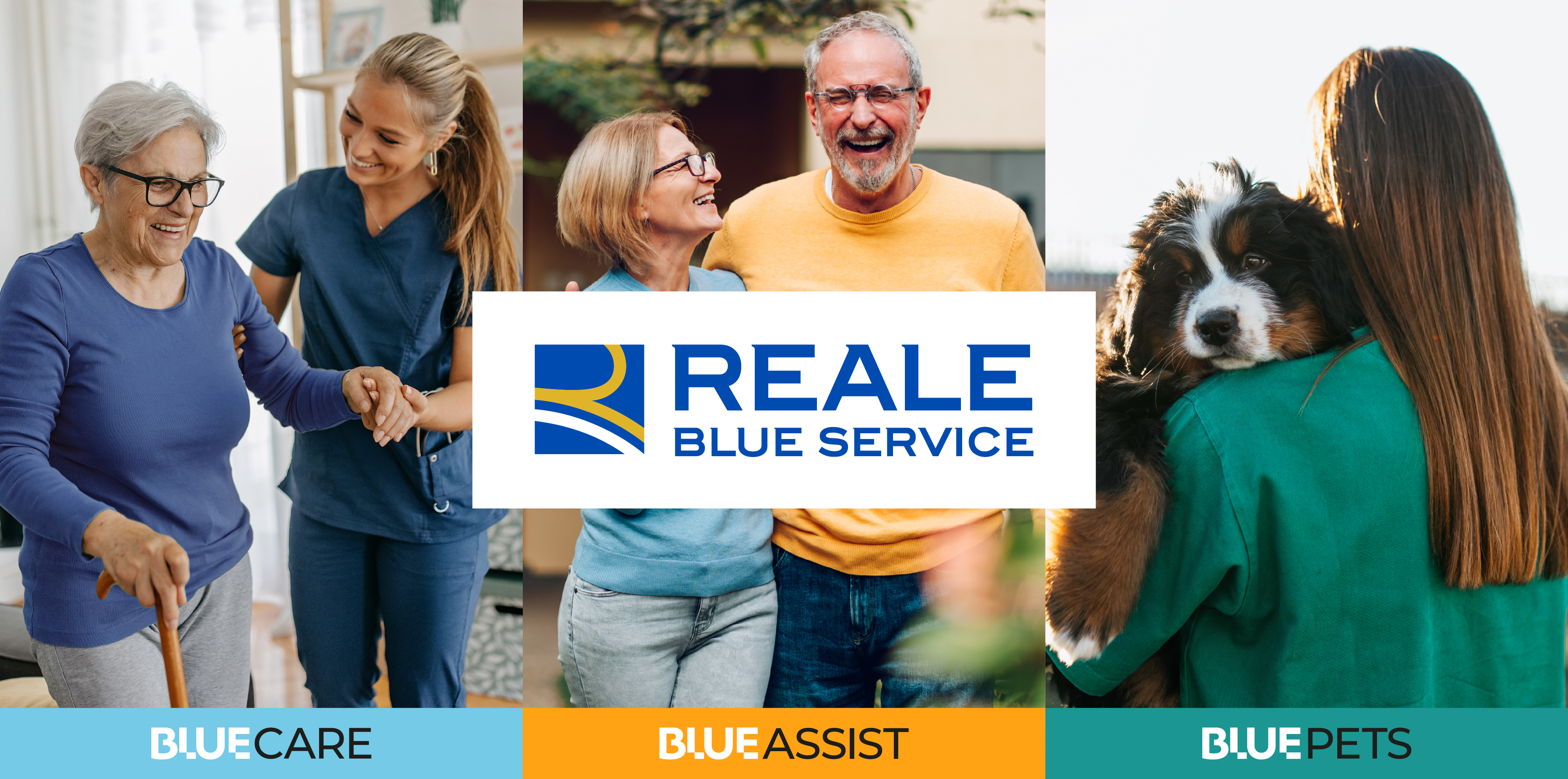 Servicios de Reale Blue Service